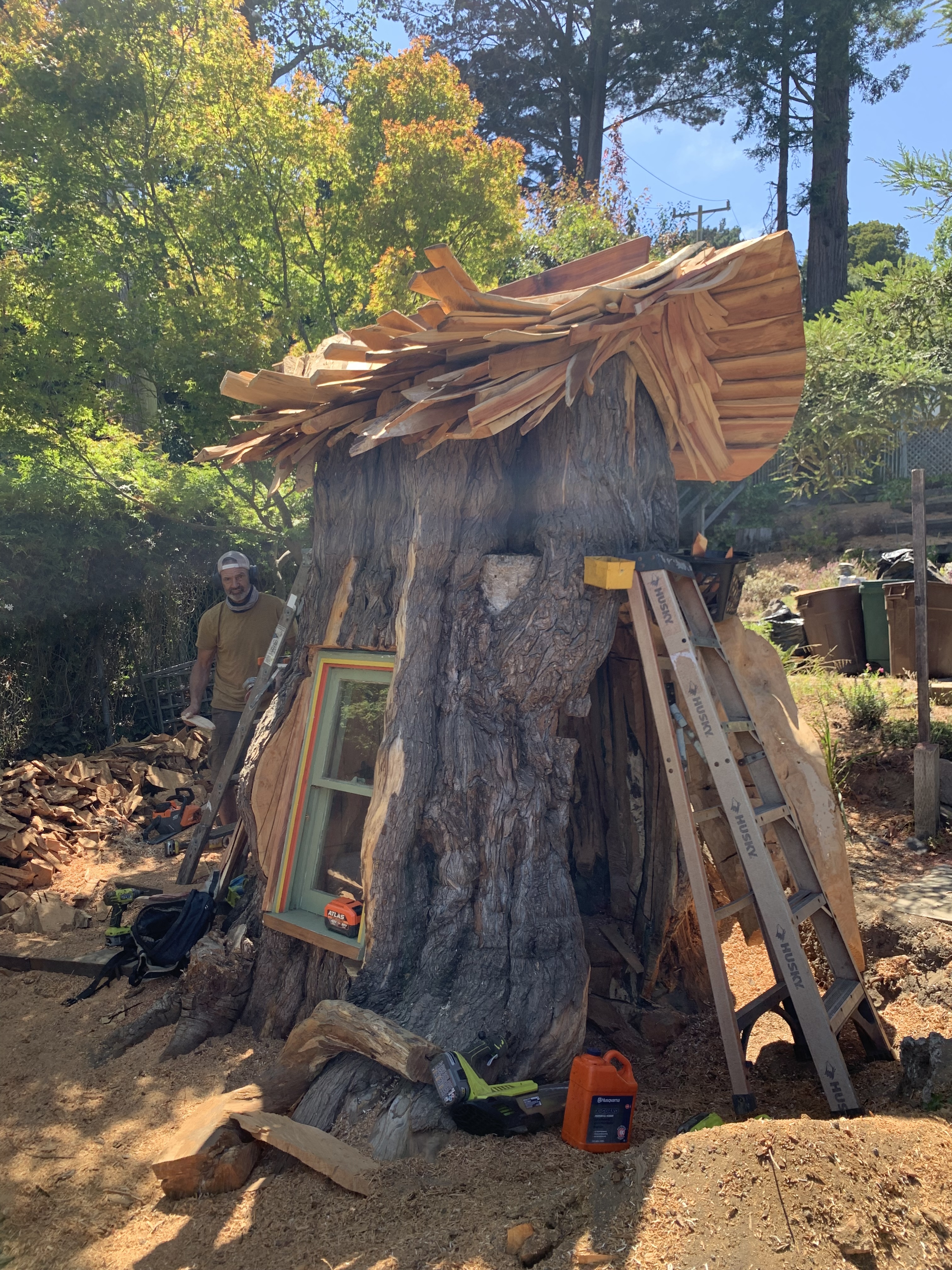 Month 5, roofing and window.